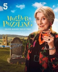 谋杀解谜专栏机翻